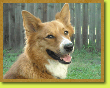 Photo of Kacy