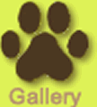 gallery nav button