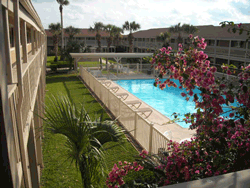 images/g_pool1-250.gif