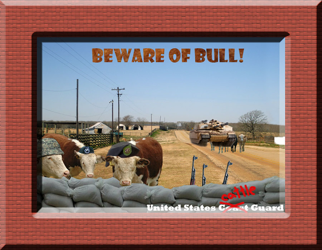 cattle guard